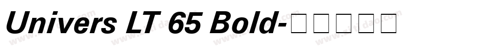 Univers LT 65 Bold字体转换